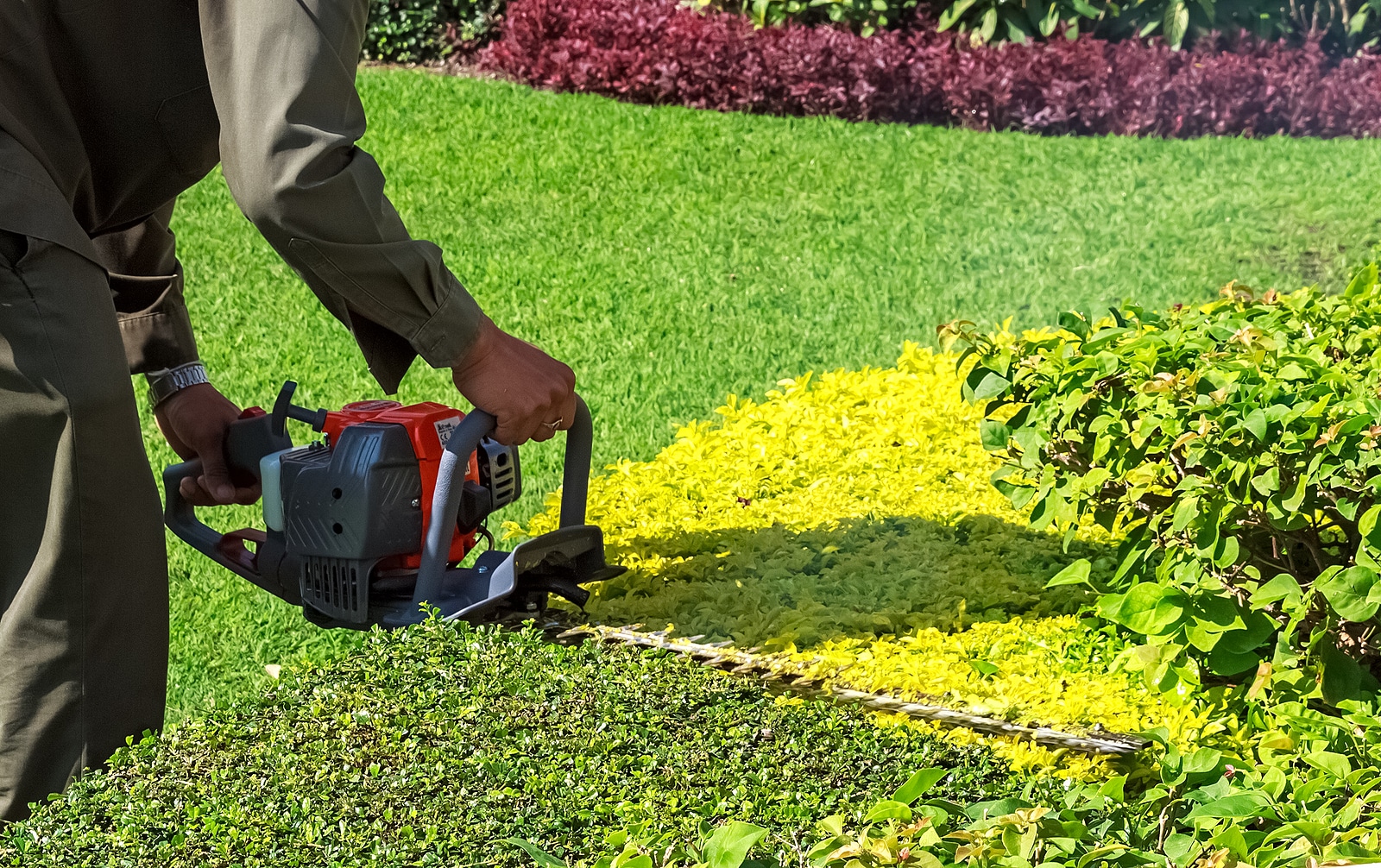 4 Ways Shrub Trimming Helps Your Summer Landscape Thrive