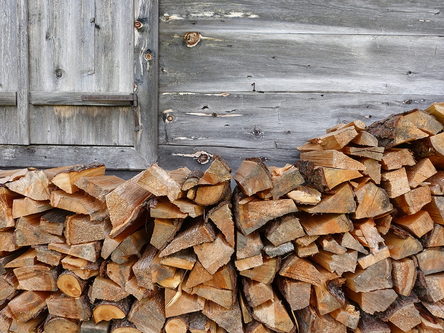 What to Know Before Your Firewood Delivery Arrives