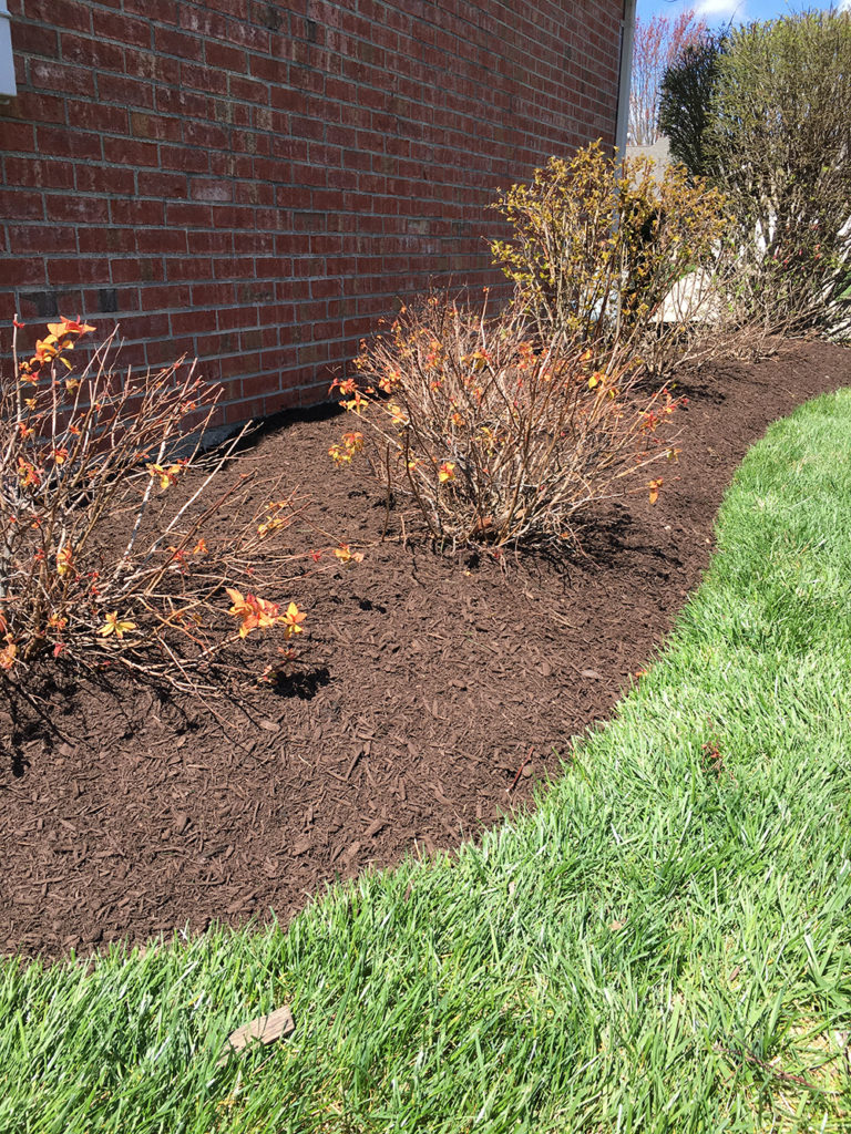 Excellent Mulch and Landscaping Services