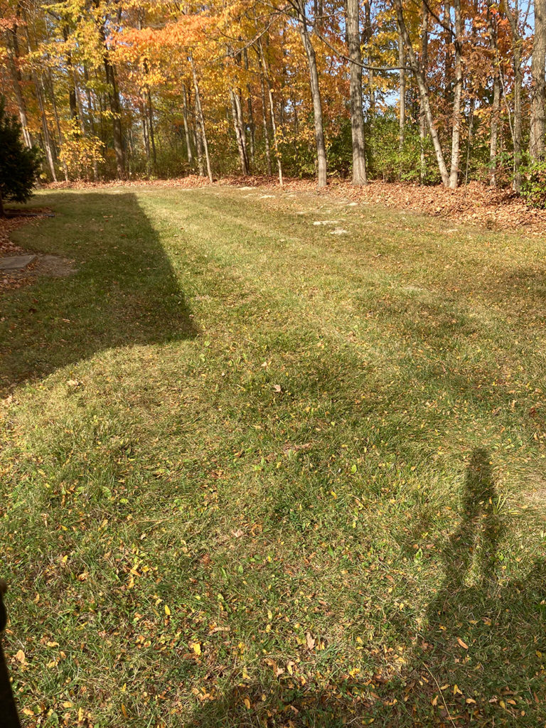 Seasonal Leaf Removal Services