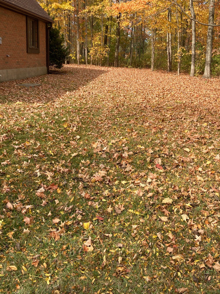 Englewood OH Seasonal Lawn Maintenance