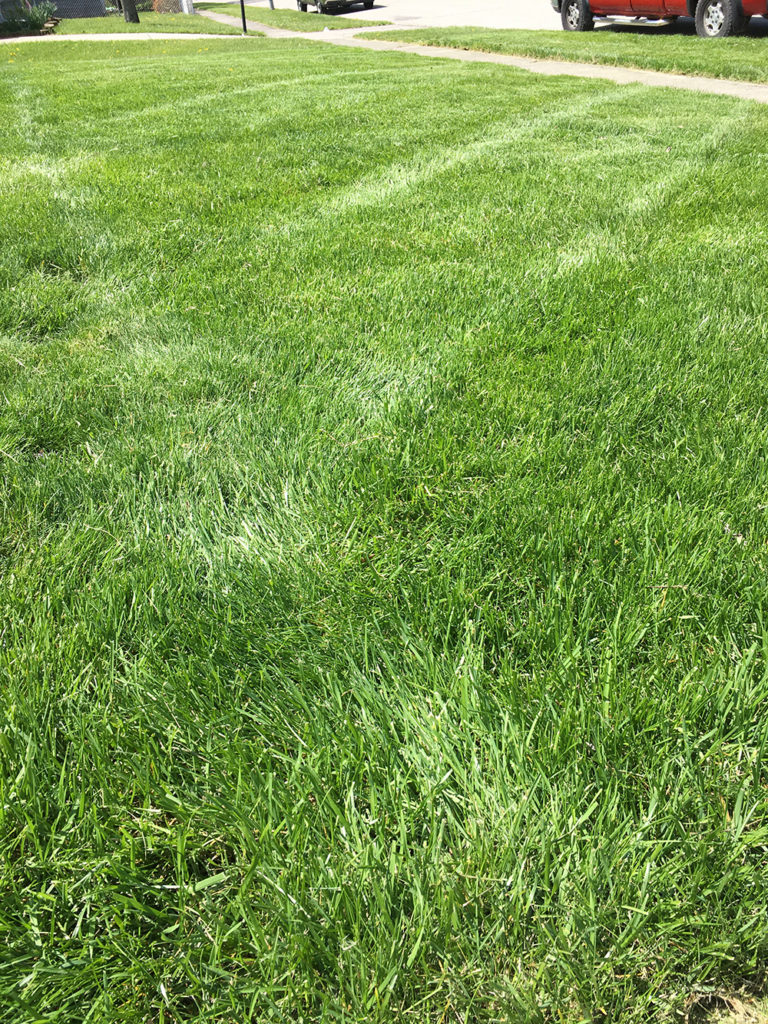 Exceptional Mowing Services in Englewood OH