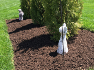 Exceptional Landscaping Services