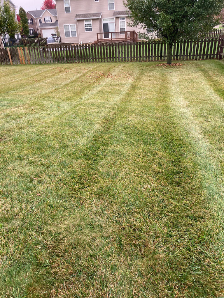Englewood OH Quality Lawn Care