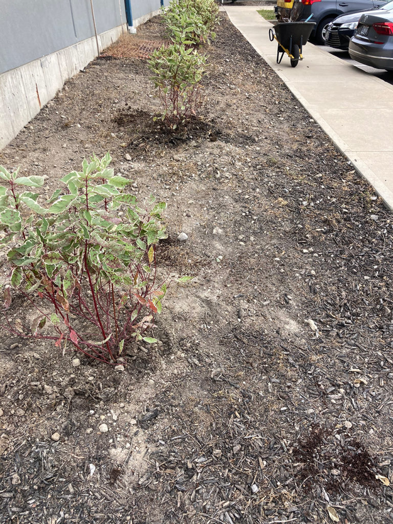 Experienced Plant Installation Services in Englewood OH