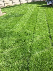 Lawn mowing services