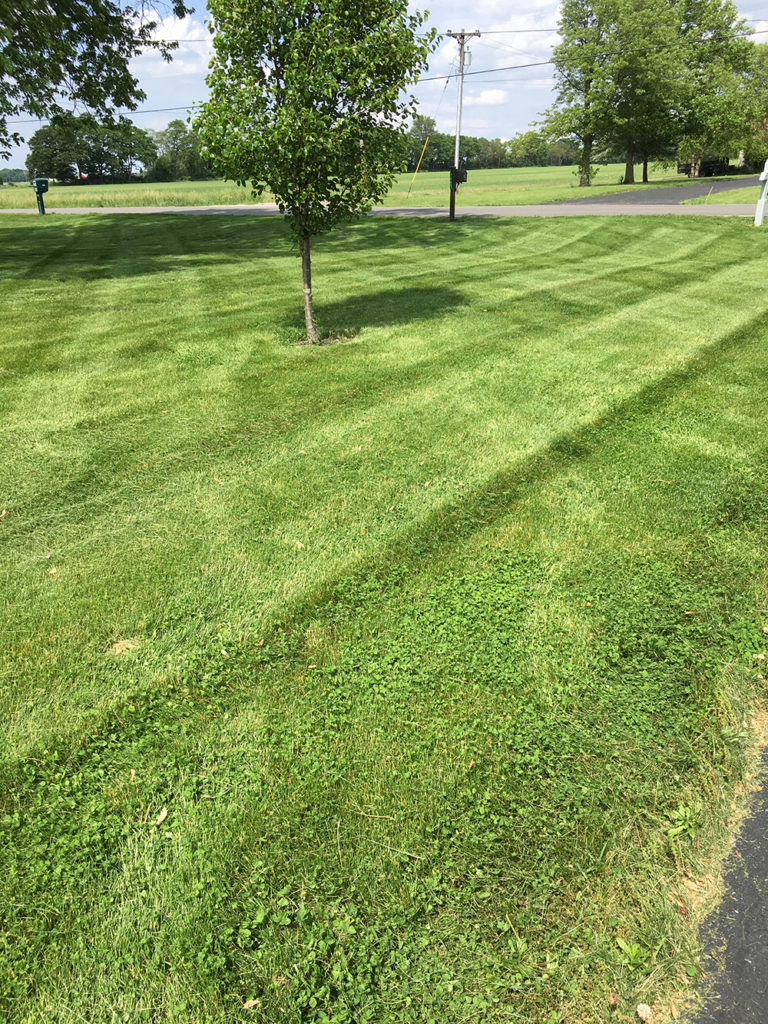 Professional Mowing Services in Englewood OH