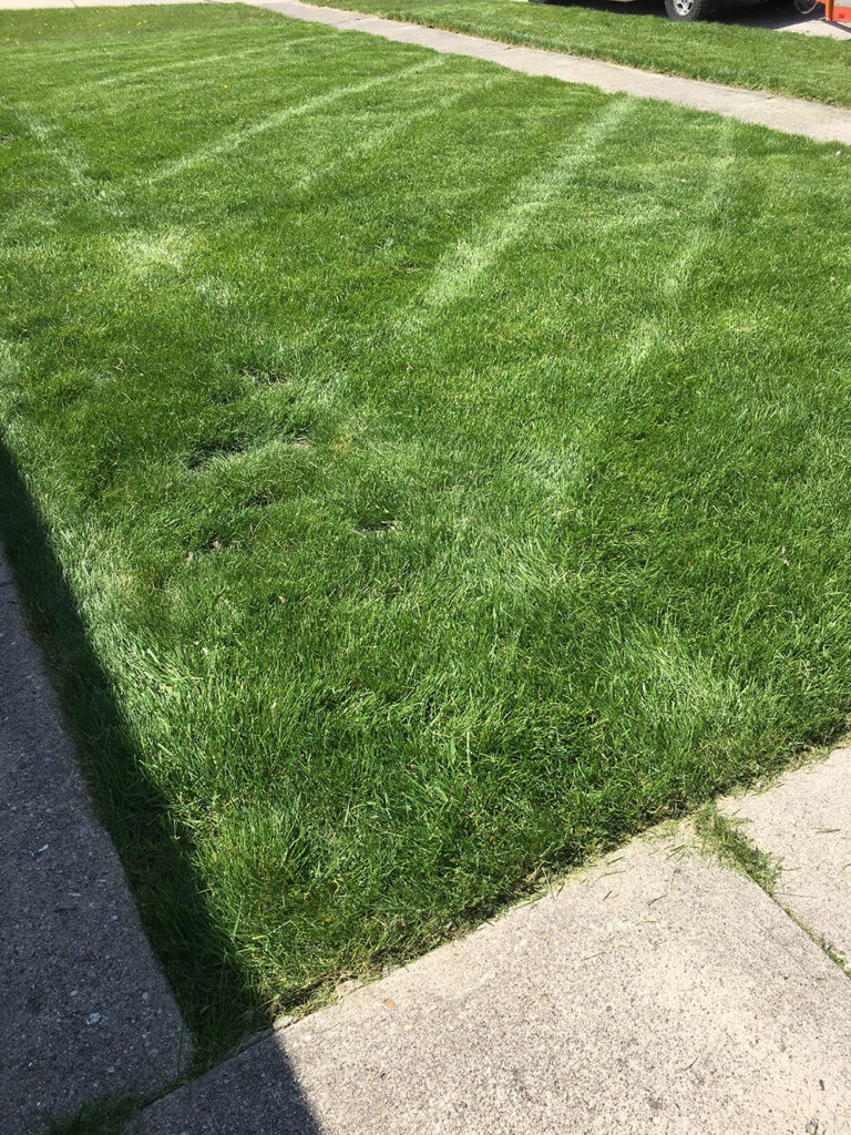 Englewood OH Quality Mowing Services