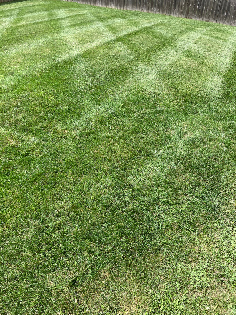 Englewood OH Quality Lawn Care Services