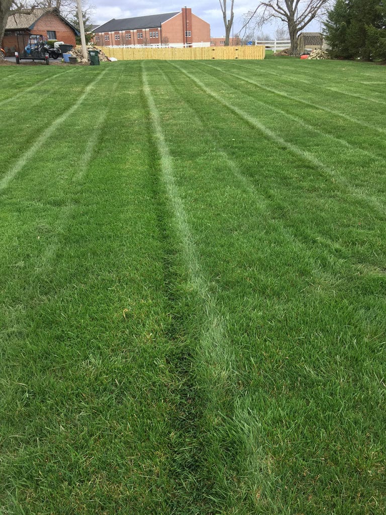 Professional Mowing in Englewood OH