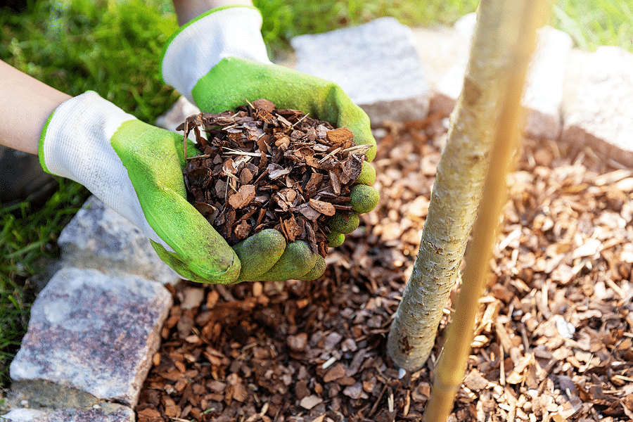 Residential Mulching Services in Englewood OH