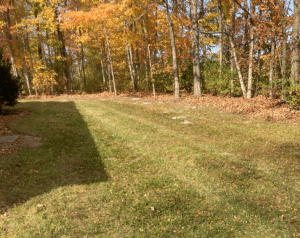 Fall cleanup